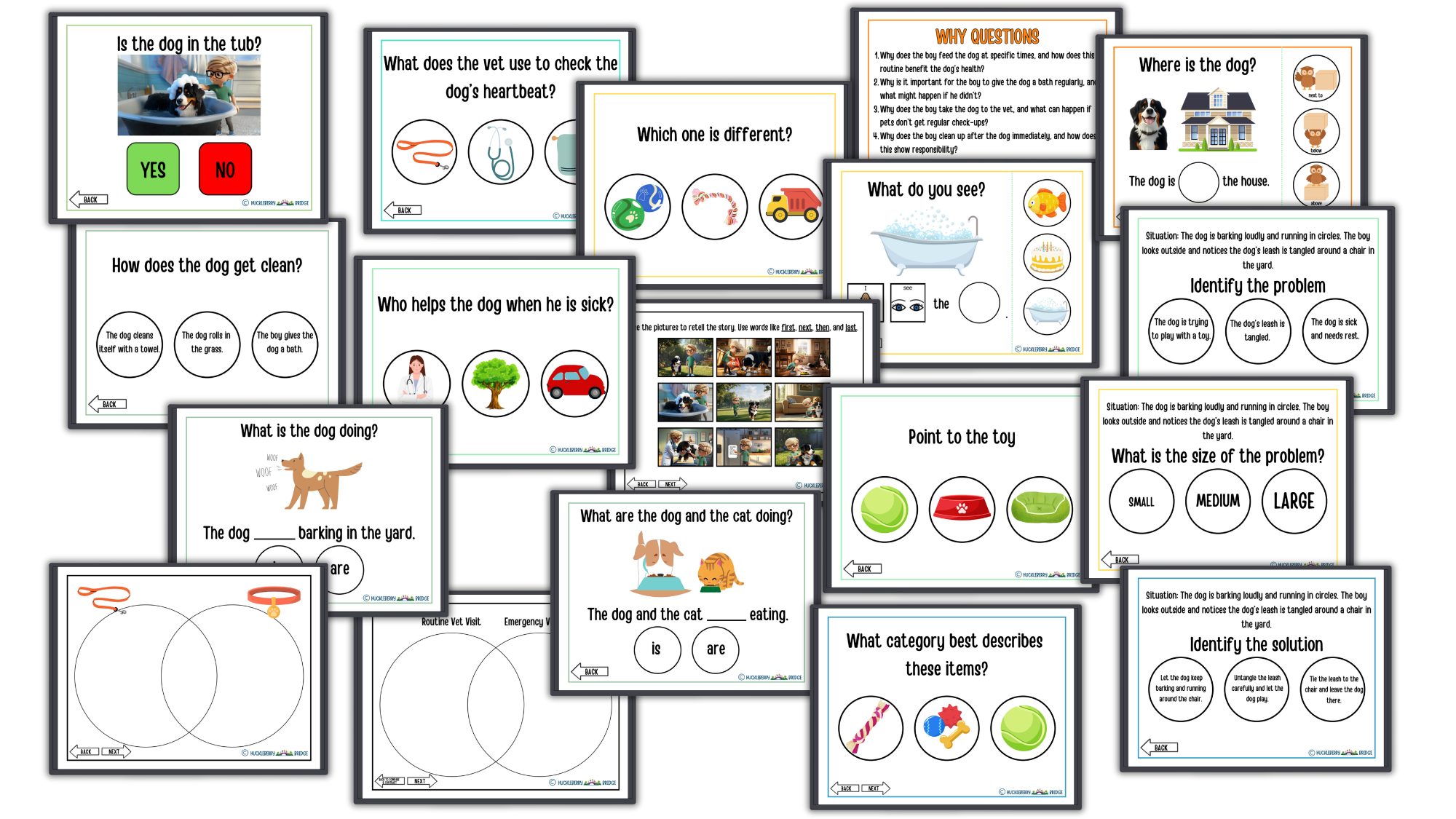 Companion Activities Thumbnails 2